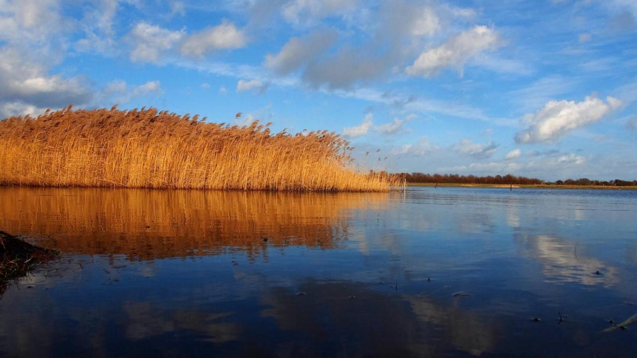 Emilias Hues, Reethaus In Der Bucht Von Wismar ซิเอโรว์ ภายนอก รูปภาพ