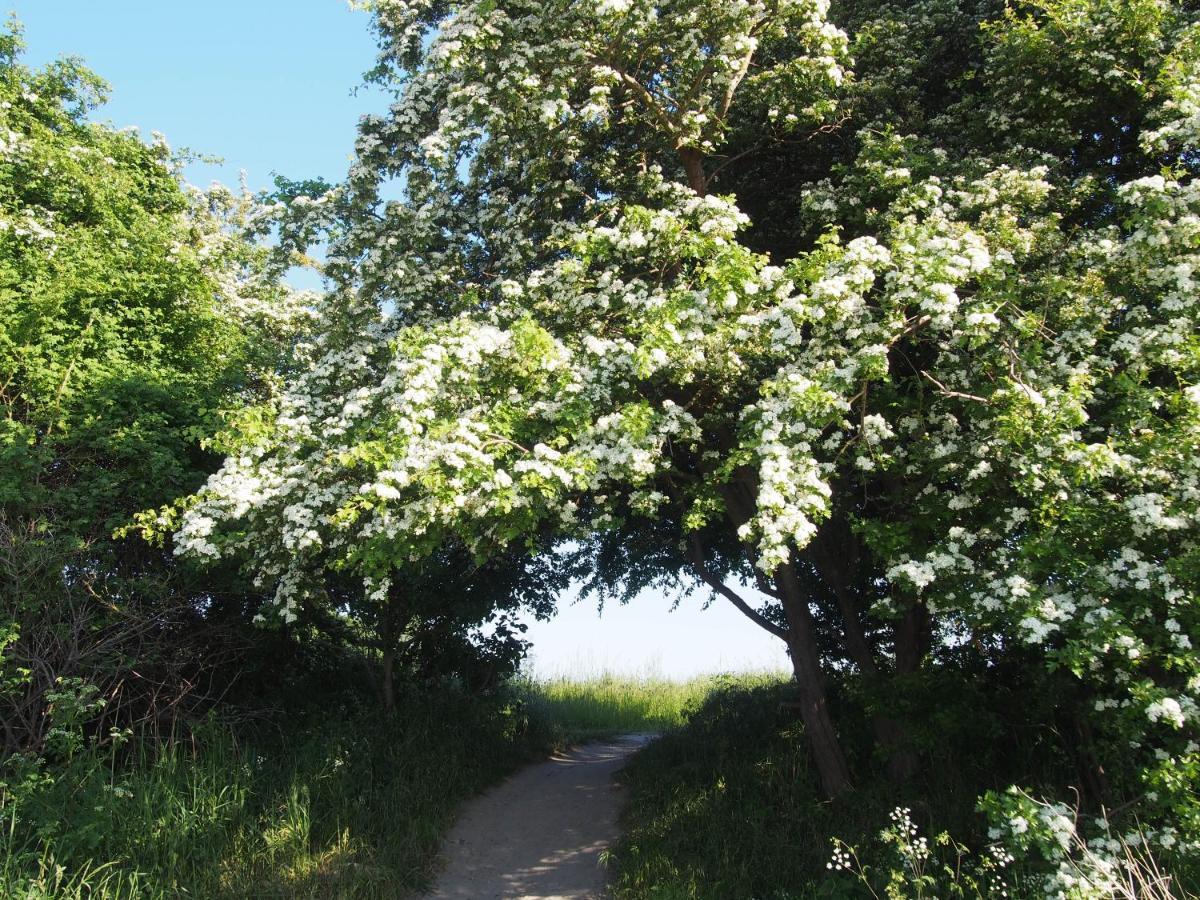 Emilias Hues, Reethaus In Der Bucht Von Wismar ซิเอโรว์ ภายนอก รูปภาพ