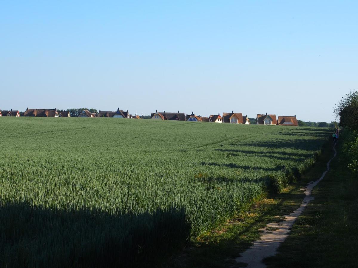 Emilias Hues, Reethaus In Der Bucht Von Wismar ซิเอโรว์ ภายนอก รูปภาพ