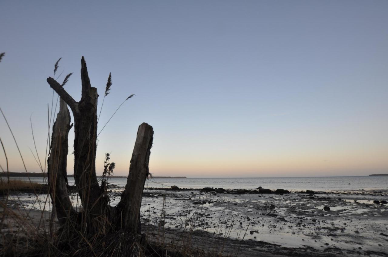 Emilias Hues, Reethaus In Der Bucht Von Wismar ซิเอโรว์ ภายนอก รูปภาพ