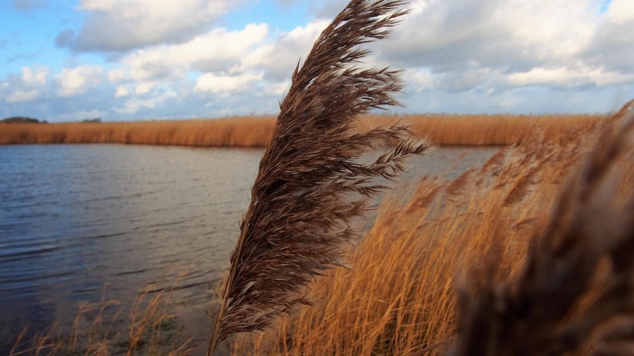 Emilias Hues, Reethaus In Der Bucht Von Wismar ซิเอโรว์ ภายนอก รูปภาพ