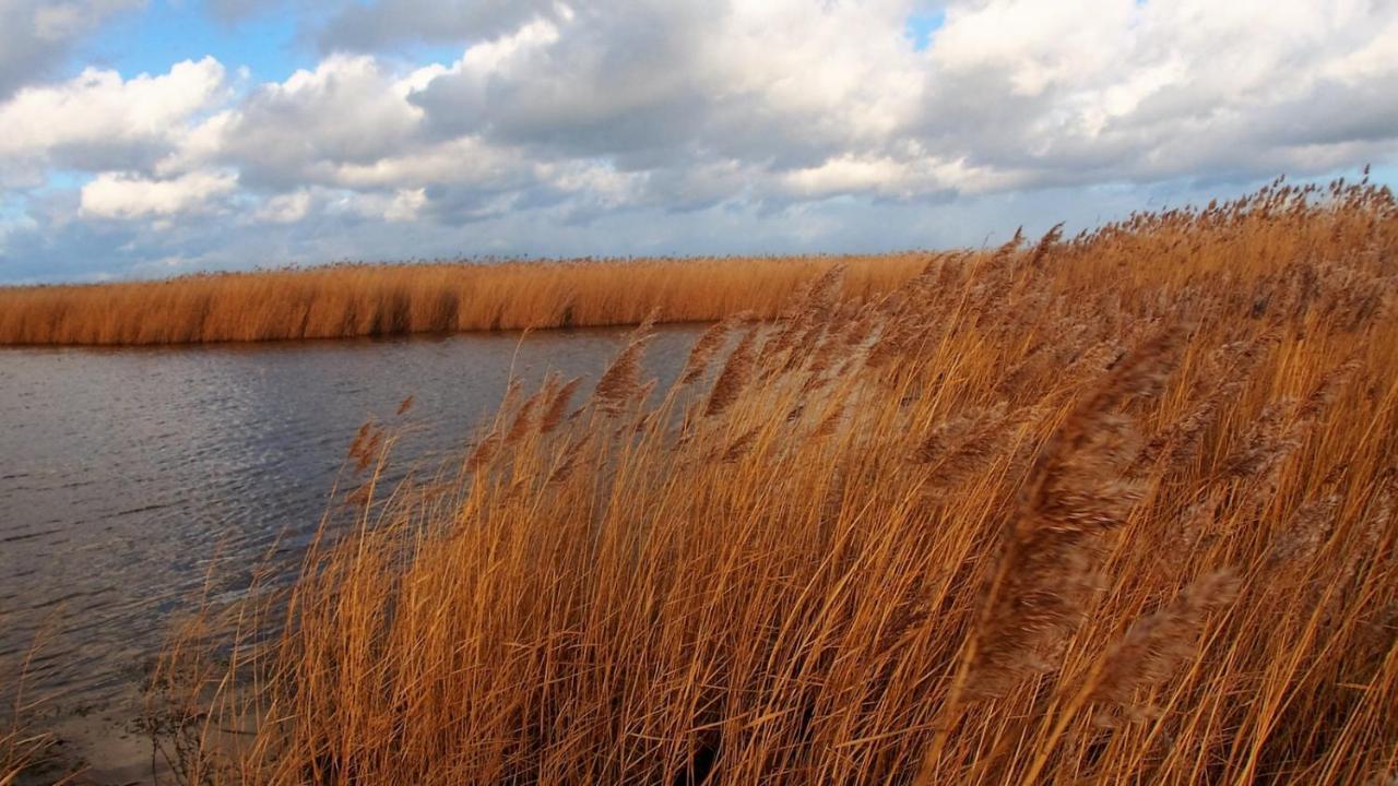 Emilias Hues, Reethaus In Der Bucht Von Wismar ซิเอโรว์ ภายนอก รูปภาพ