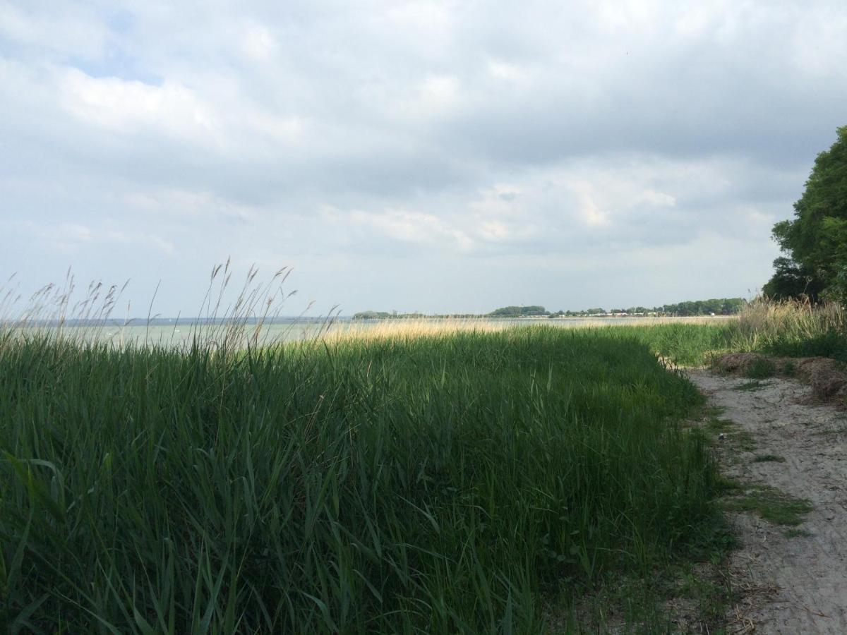 Emilias Hues, Reethaus In Der Bucht Von Wismar ซิเอโรว์ ภายนอก รูปภาพ