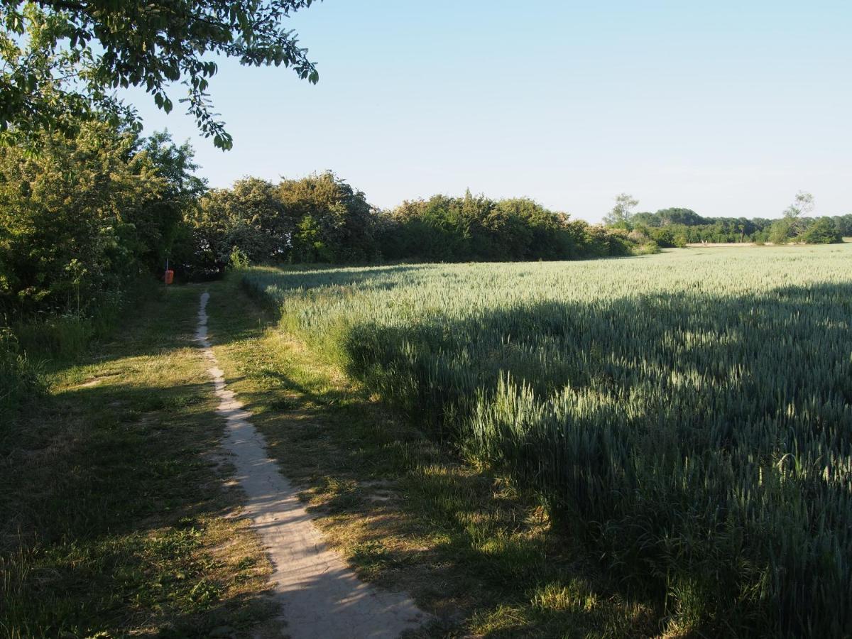 Emilias Hues, Reethaus In Der Bucht Von Wismar ซิเอโรว์ ภายนอก รูปภาพ